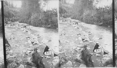 Native washwomen washing clothes in River at Ambato. Ecuador. S.A