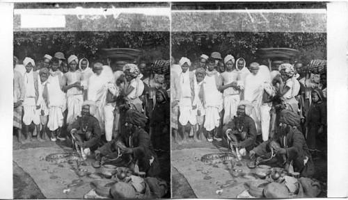 Street showmen exhibiting superbly handsome snakes before an admiring crowd. Calcutta. India