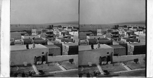 General View of Sidon Looking North across Harbor, Syria