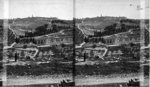 Mount of Olives from the Golden Gate - Palestine