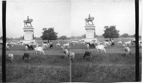 Lord Roberts Statue in the maidar, N. E. Calcutta. India