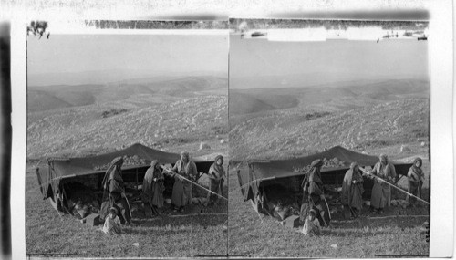 Encampment on Pisgah’s Slopes, outlook West to Dead Sea. Palestine