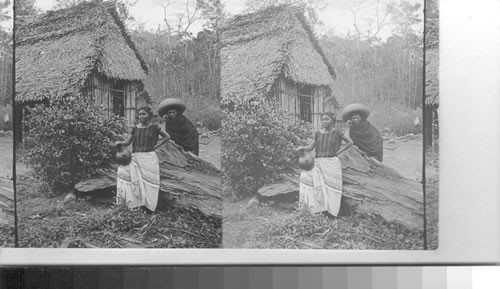 Belles of Tehauntepec. Mexico