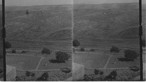 From Mazpah to Mt. of Olives Jerusalem Palestine