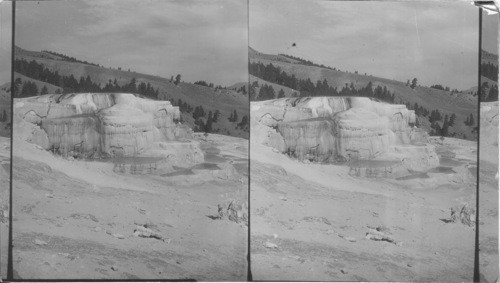 Minerva Terrace. Yellowstone National Park. Wyoming