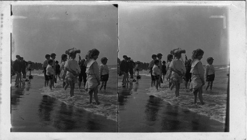 "Sea Urchins pray what do you see?" Lincoln Park Beach, Lake Michigan, Chicago