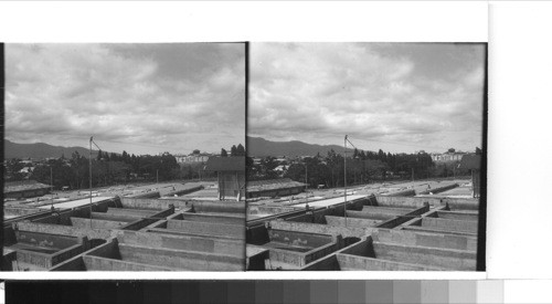 The modern beneficio of a coffee finca on the outskirts of San Jose. The washing vats in the foreground handle the coffee berries which are washed and de-pulped, and later sluiced down onto the drying terraces below for the shoveling into piles which are constantly re-shoveled to allow the air to reach all beans. Later they are spread out on the terrace floors and constantly raked and hoed into rows which are shifted and changes in the process to allow all the beans to gain the benefit of the hot mountain sunshine. Near San Jose, Costa Rica. C.A