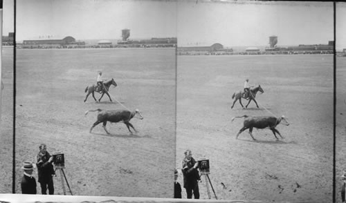 Pres. Roosevelt attending a Wild West Rodeo? Cheyenne? Wyoming