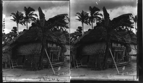 A typical home in hemp country