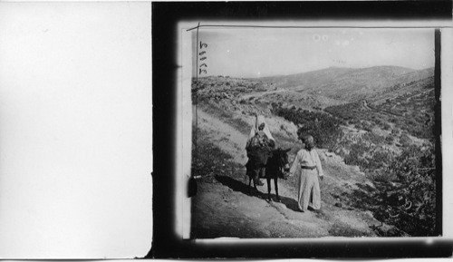 On the road to Bethlehem. Palestine