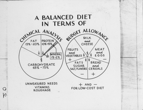 HEALTH UNIT - Digestion. Set #20, L69274 - Circular Graph showing Percentage of Each Common Food Element necessary to a Balanced Diet