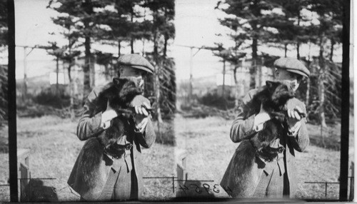 Showing Dr. Leo Frank holding a domesticated Silver Black Fox in his arms, Rosbank Fur Farms, Ltd. Southport, P.E. Island