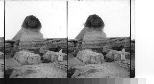 After the sunset, the Sphinx. Giza