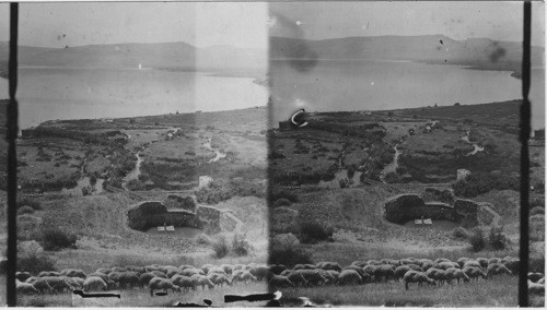 Fountains of Betheanda, Palestine