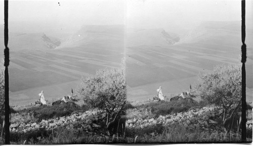 N.E. to Mt of Beatitudes to Sea of Galilee. Palestine, Asia