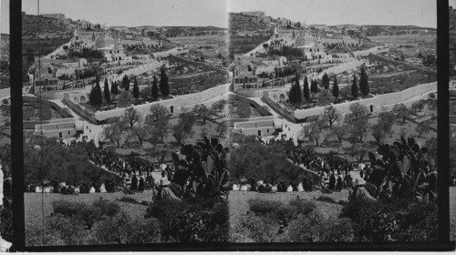 Garden of Gethsemane and Mount of Olives - Jerusalem. Palestine