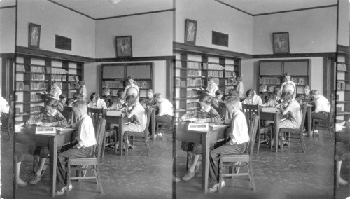 The library in the Elementary Schools. (8th division) "Lowell School", Oak Park, Ill