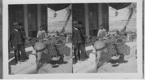 A nature fruit vender in the streets of old Cairo, Egypt