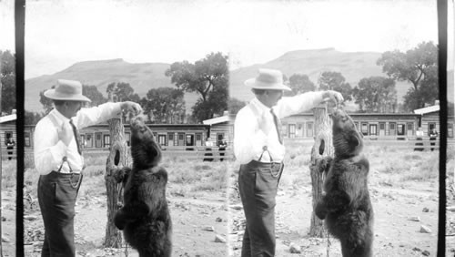 Man and bear. Colorado