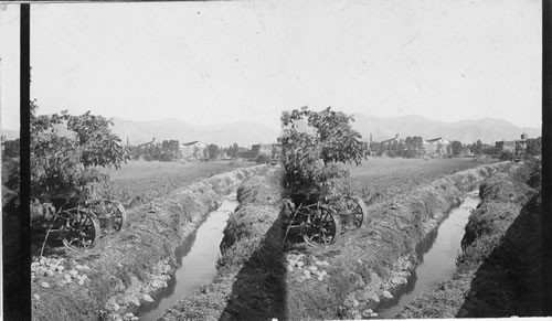 Ploughing the fields by steam power. Santa Clara. Peru. An Irrigation Ditch