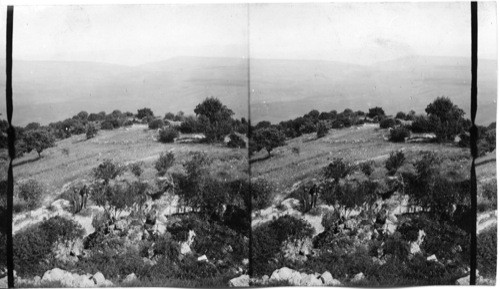 Mt. Tabor to the Jordan. Palestine