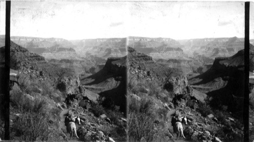 Grand Canyon of the Colorado, Ariz