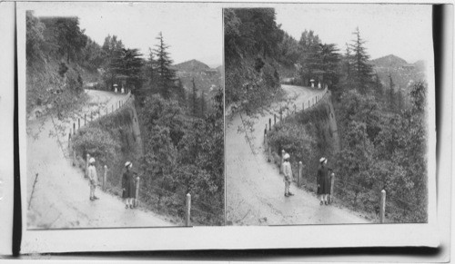 Highway around Jakko Mt. N. E. to Sanjoili Bazaar - Simla. India