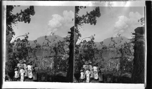 A group of natives watching steaming Mt. Pelee, Island of Martinique