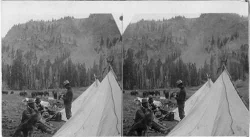 A night camp by the trail - through western Montana with a pack train. [Three men and a dog in a camp with forested hills and some horses in the background.]