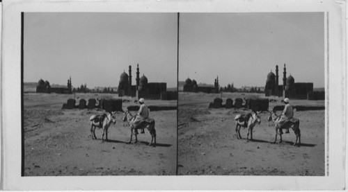 General view of the Beautiful tombs of the Khalifs, Looking Southward. Cairo, Egypt