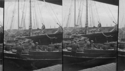 Getting Ready for Another Fishing Trip, Gloucester, Mass. [missing neg. 7/98]