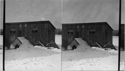 A Dog House in the Snow near Meadville. Penna