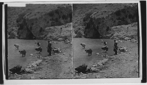 Gideon’s Spring, Mt. Gilboa, Samaria