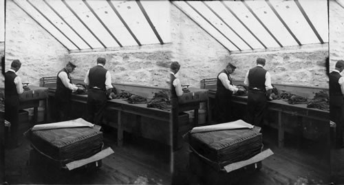 Preparing Tobacco Leaves for Shipping, Granby, Conn