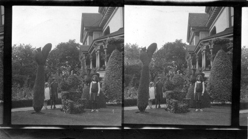 Topiary Garden. Pendray's Gardens, Victoria, B.C