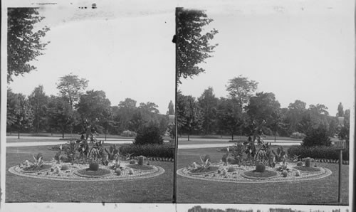 A Cactus Bed, Fairmount Park, Philadelphia, PA, U.S.A