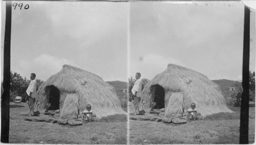 A Typical Grass Hut, Hawaii