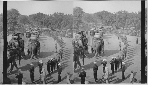 Durbar - Delhi, India