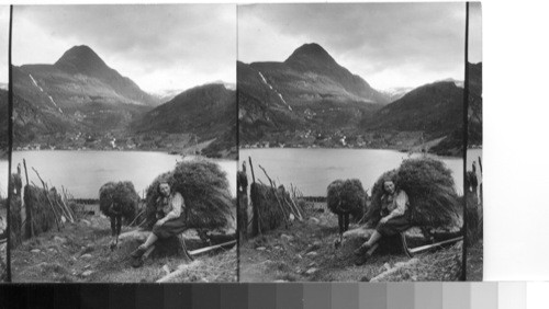 Head of the Gieranger Fjord above Merok, Norway