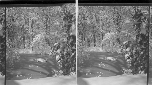 Winter Scene - Apr. 9, 1957. Cussewago Creek. Near Meadville, Pa