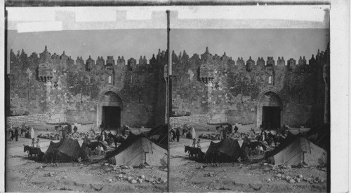 Damascus Gate, the Northern entrance to Jerusalem, Palestine