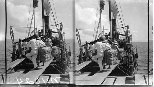 Loading A Vessel With Manila Hemp, Philippines. Dup. 10045