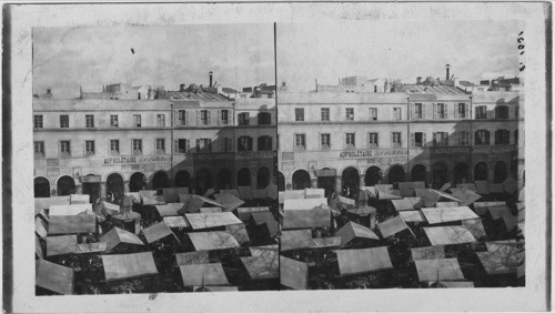 Public Fruit Market, Algiers, Algeria