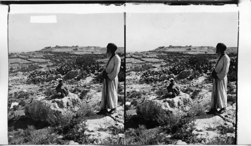 The mound of Gezer, from the northwest, site of Damaonite and Maccabean forts. Palestine