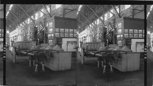 Ox cart used in {Philippines, War Department Exhibit, Government Building, Louisiana Purchase Exposition