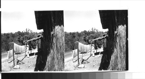 Drying and bleaching cotton yarn at a weaver's house. the bright mountain sun does the trick when the skeins of yarn are hung on the racks and moved from time to time so that all parts of the yarn catch the sun. Near Olocuilta, El Salvador, C.A