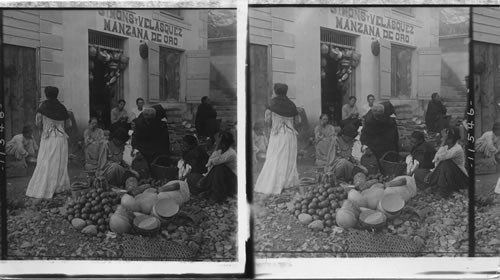 A picturesque corner in the market native women assorting fruit, Panama