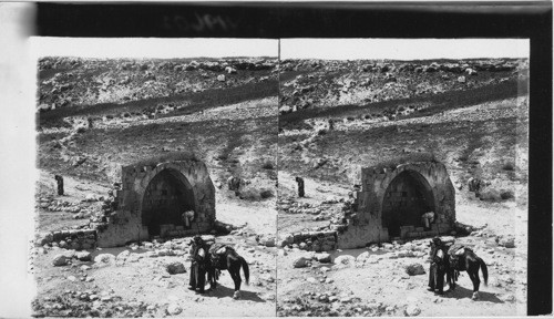 The Apostole’s Fountain Enshemesh, The Sunny Spring, Palestine