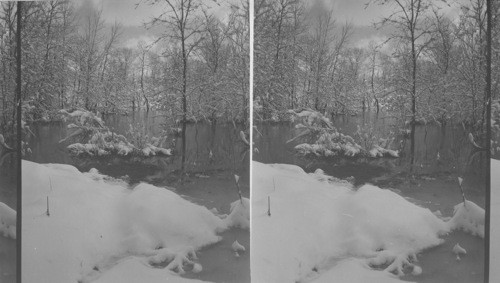 Winter Scene - Apr. 9, 1957. Cussewago Creek. Near Meadville, Pa