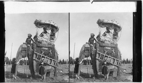 Richly dressed elephant from Khaipur, in the great Durbar Camp, India